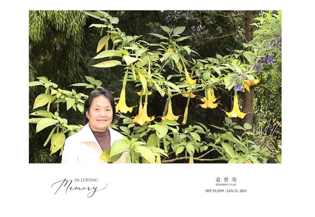 Zengshou Yuan Profile Photo