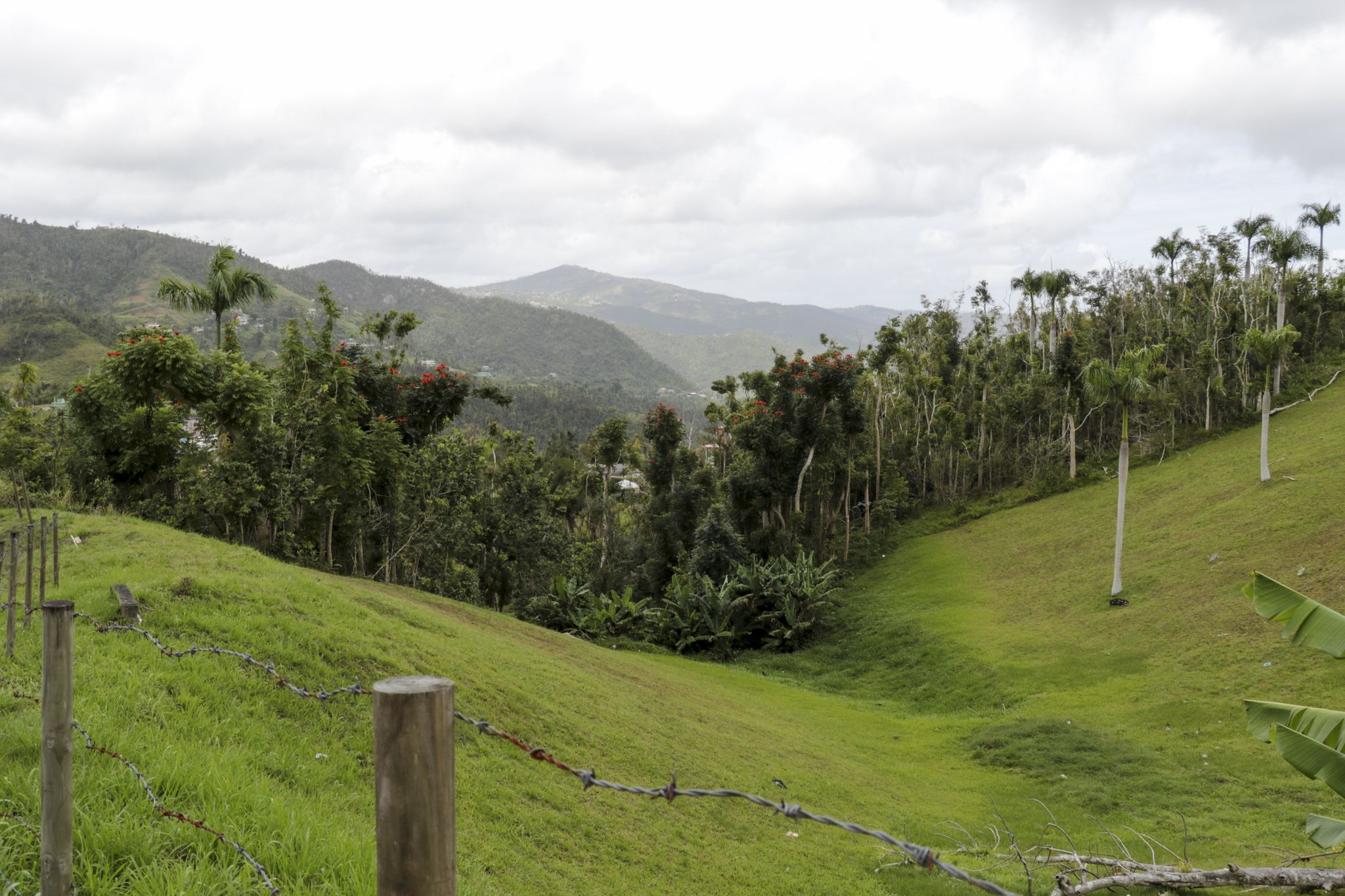 Cover photo for Guillermina Vanoer's Obituary