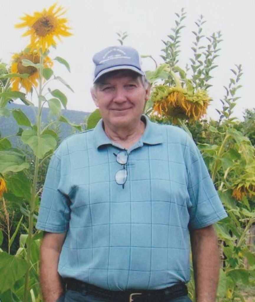 Harry Williamson