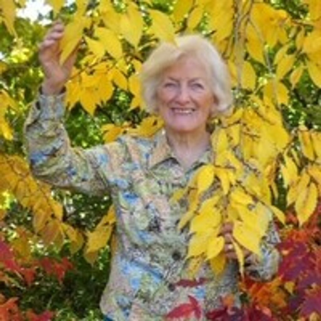 Evelyn D. Delassus Profile Photo