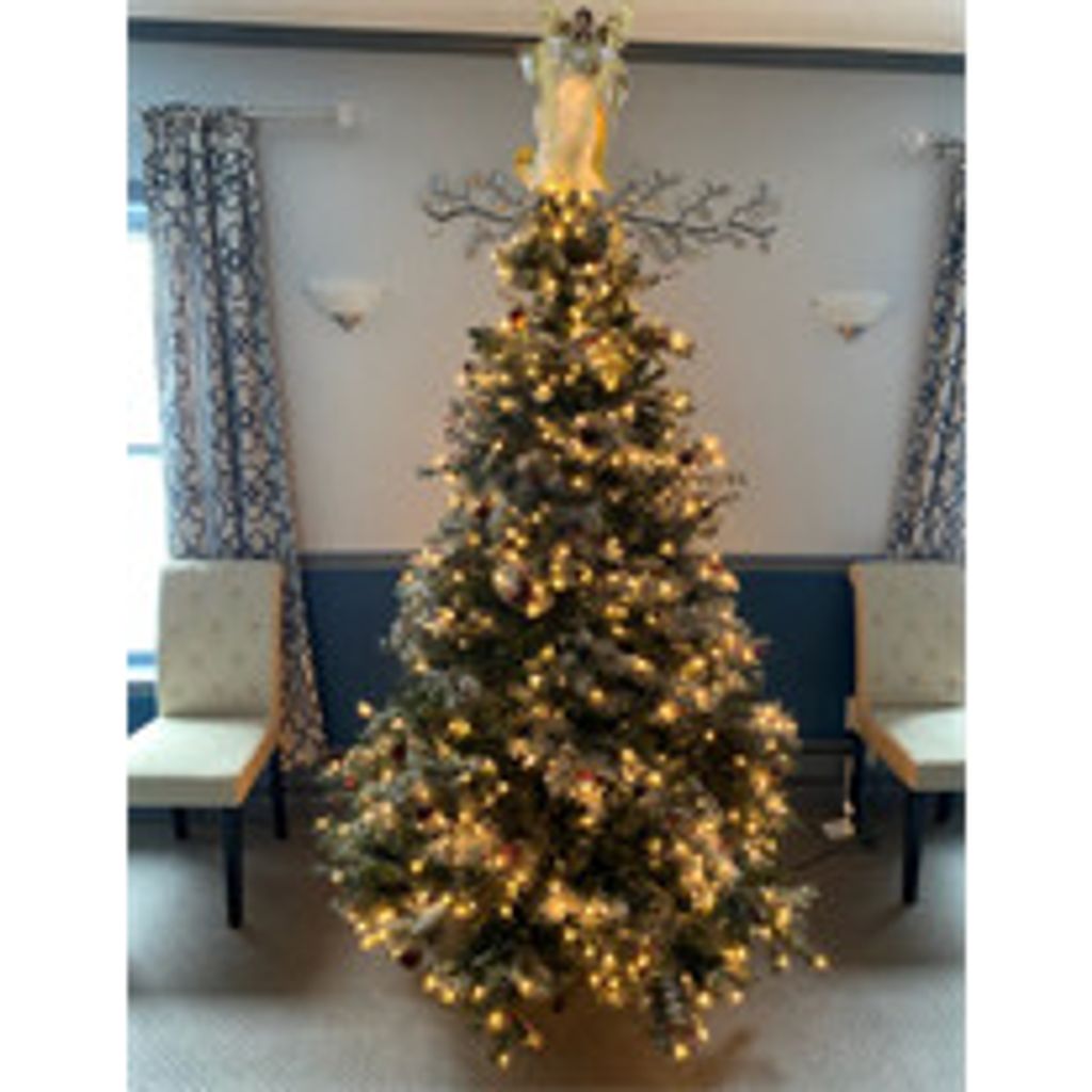 Angel Tree Remembrance Service Profile Photo