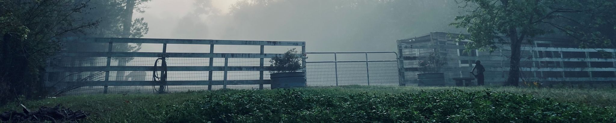 Cover photo for Martin Stehl's Obituary