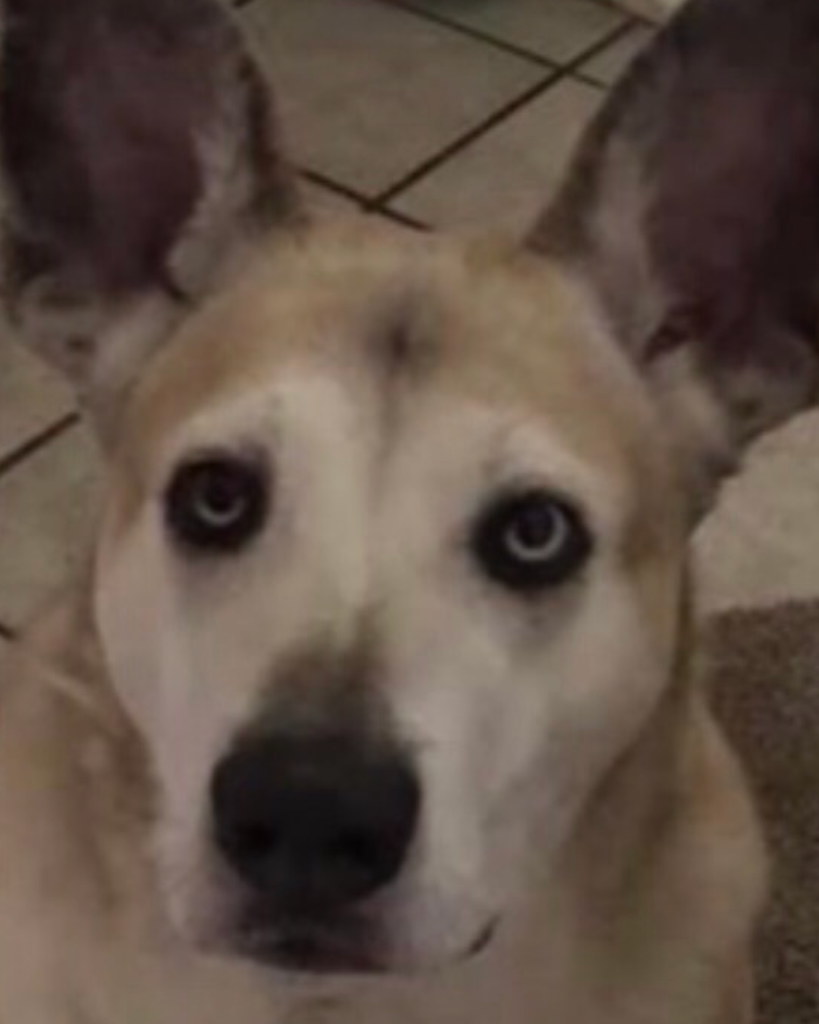 Lola Weidner Profile Photo