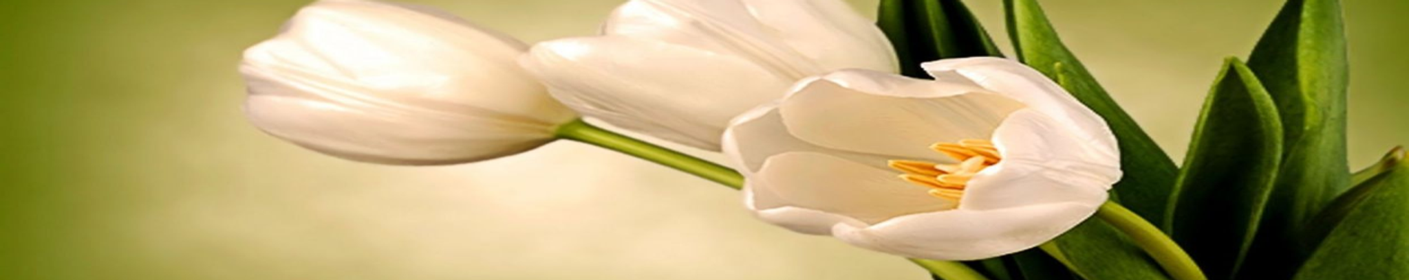 Cover photo for Barbara Ann Roberts's Obituary