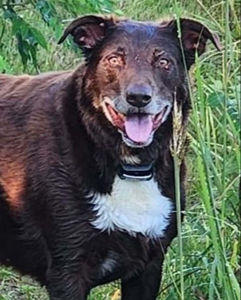 Dobbie Sanders Profile Photo