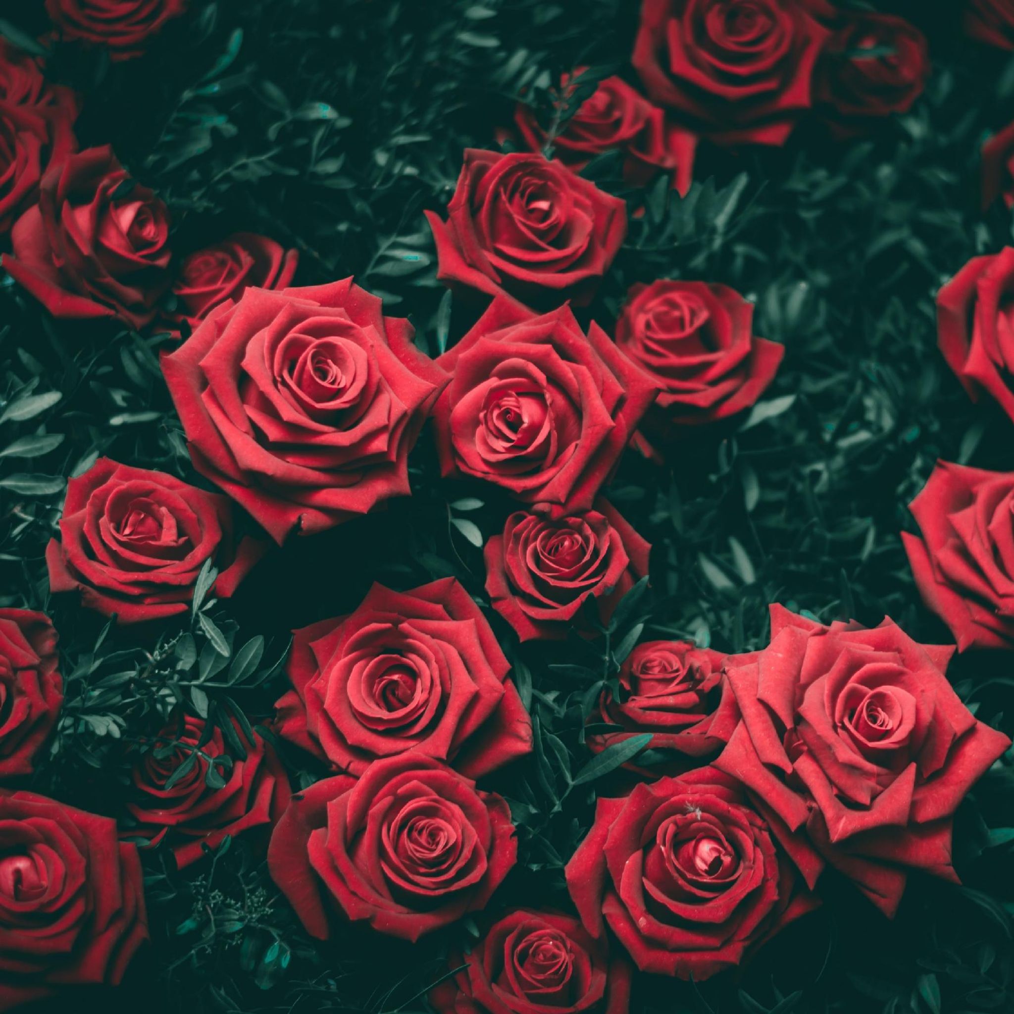 Cover for Sharon Ann Lawrence's Obituary