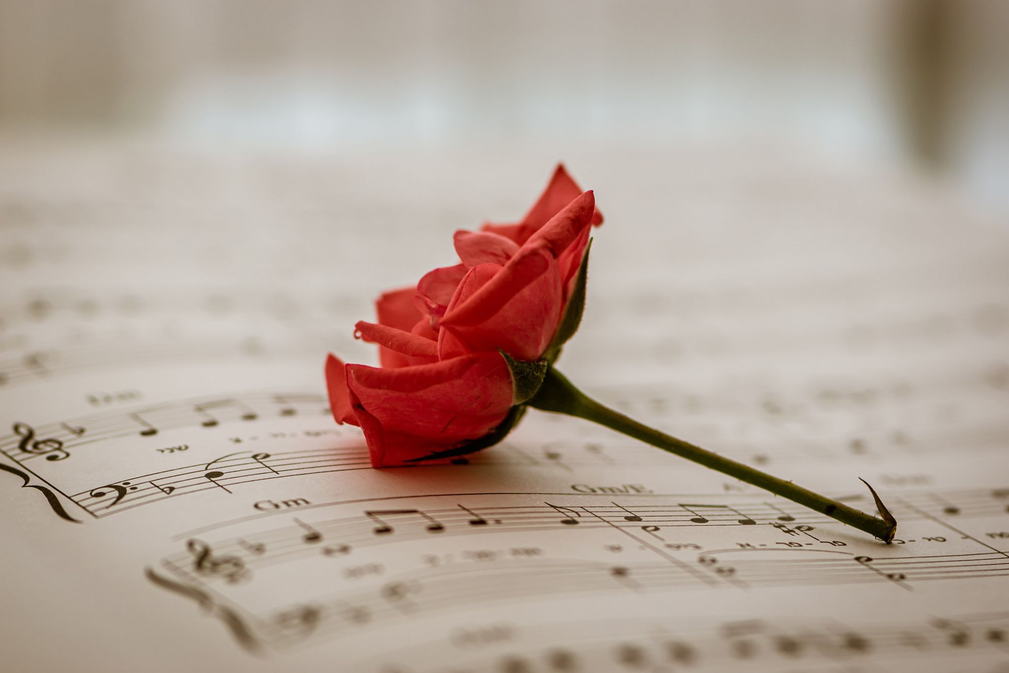 Cover photo for Danielle C. and Ronald E. Radley's Obituary