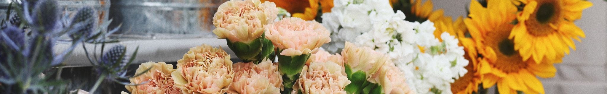 Cover photo for Ramona Palacios's Obituary