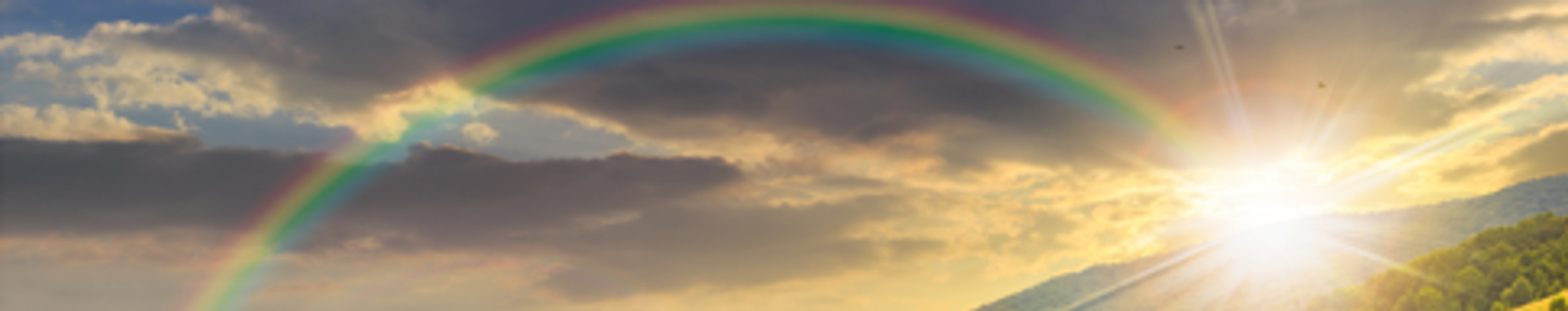 Cover photo for Emily Katelyn Benson (Brown)'s Obituary