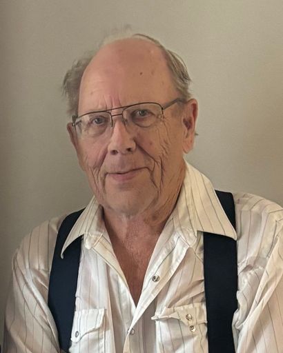 Roger Alan Levine's obituary image