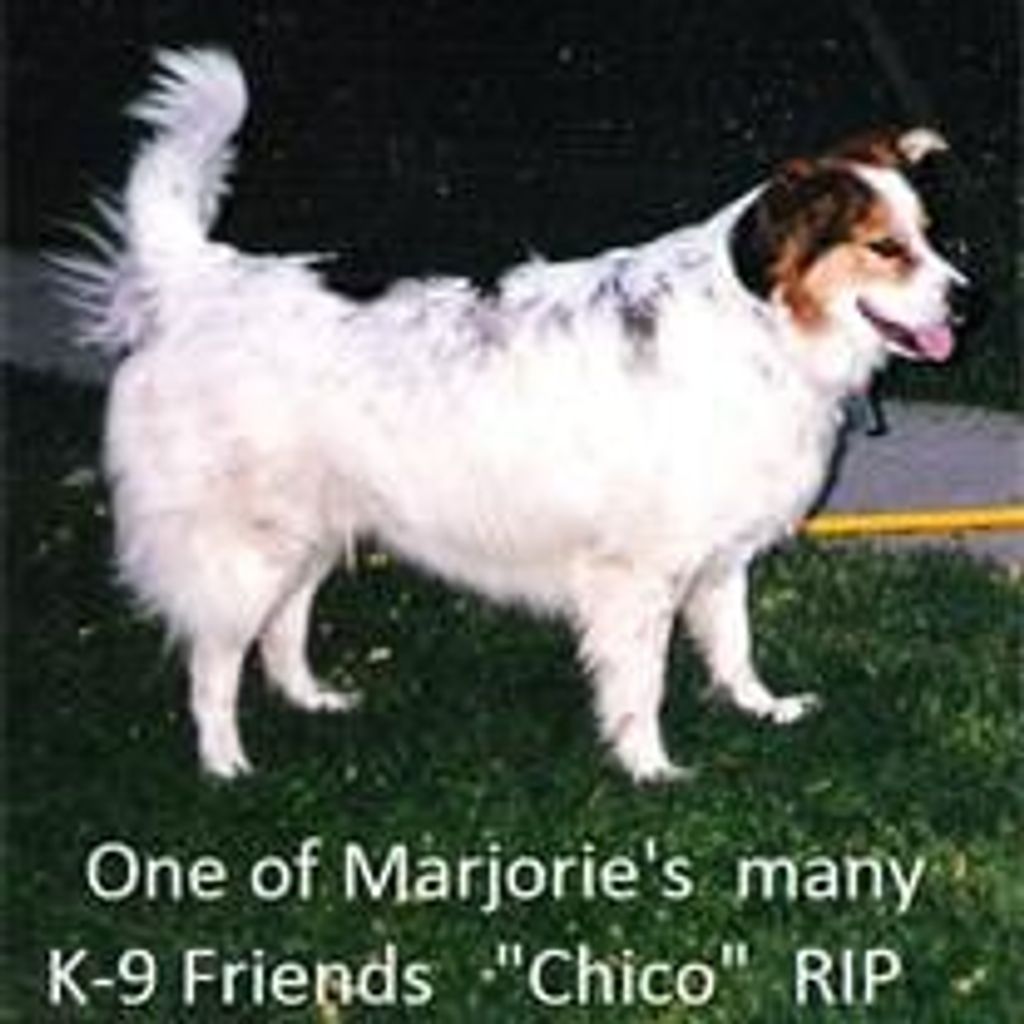 Mrs. Marjorie Zache