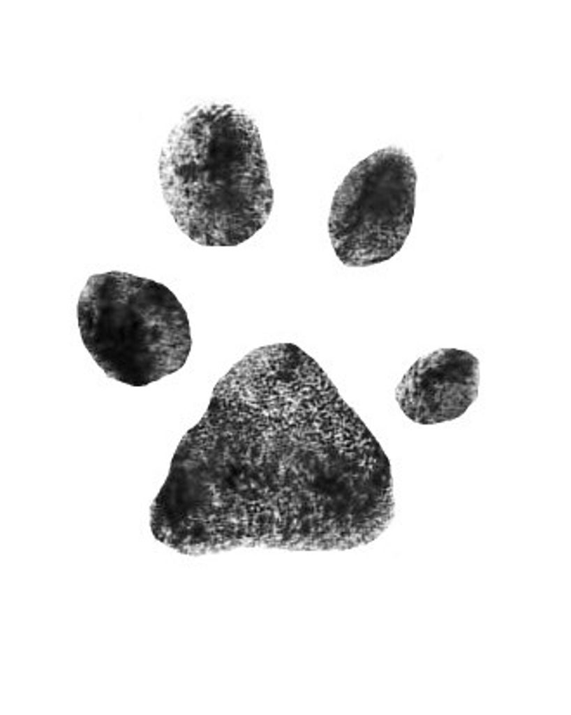 Bella Mitchell Profile Photo