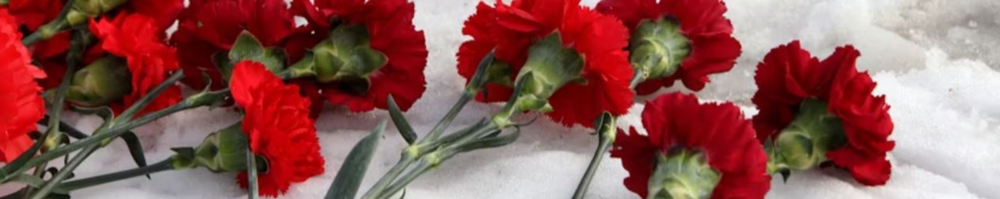 Cover photo for Kathleen Shanks's Obituary