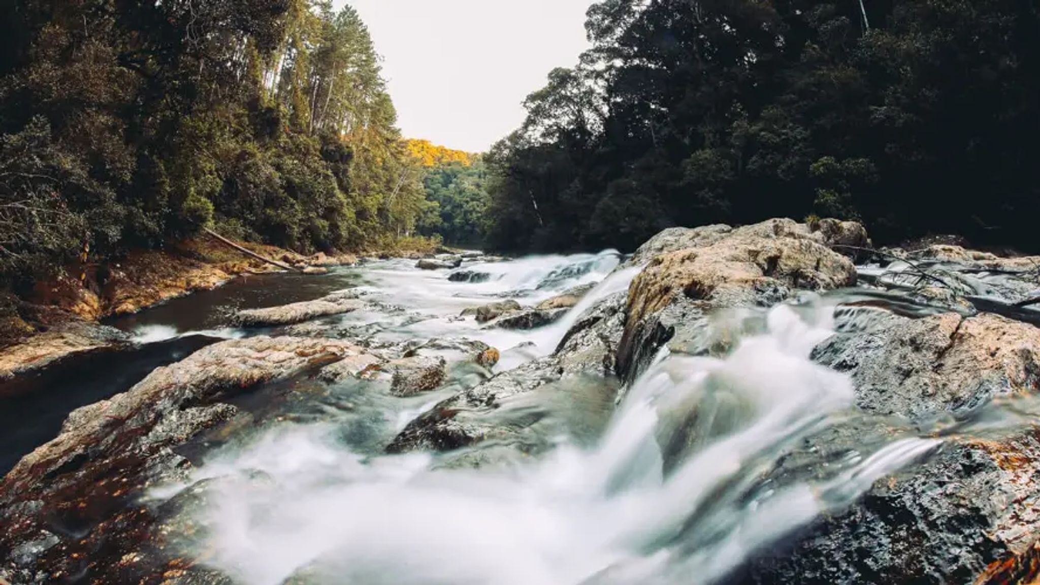 Cover for Lee James Kinney's Obituary
