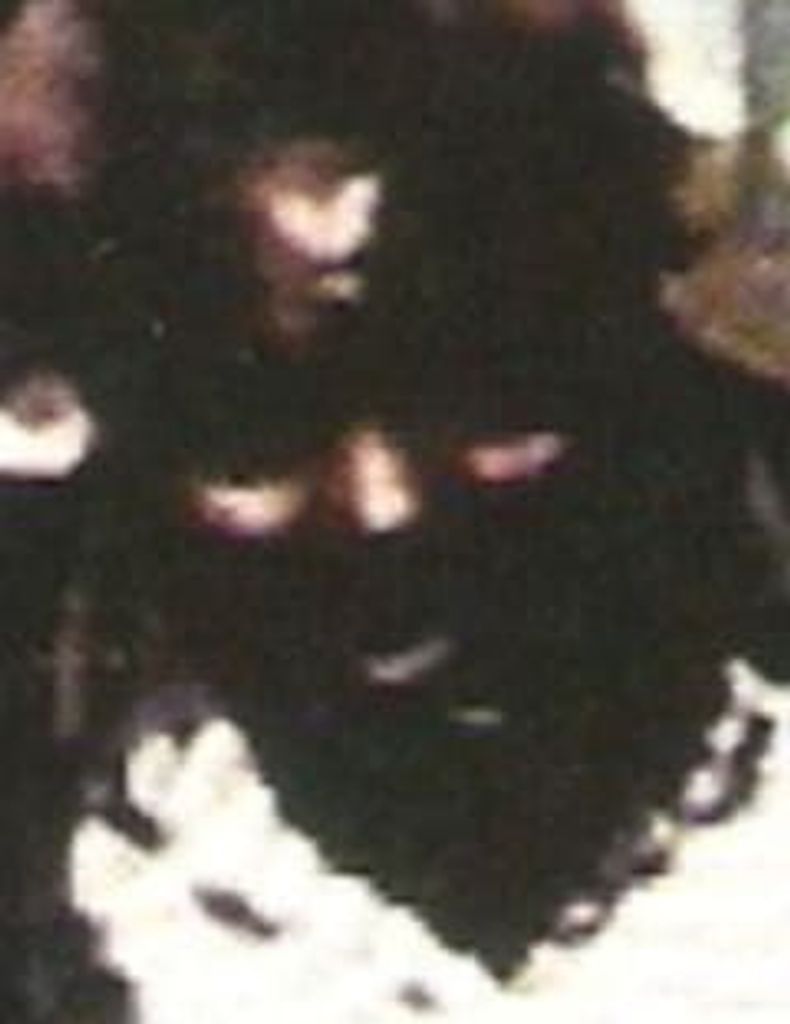 David Lee Loper