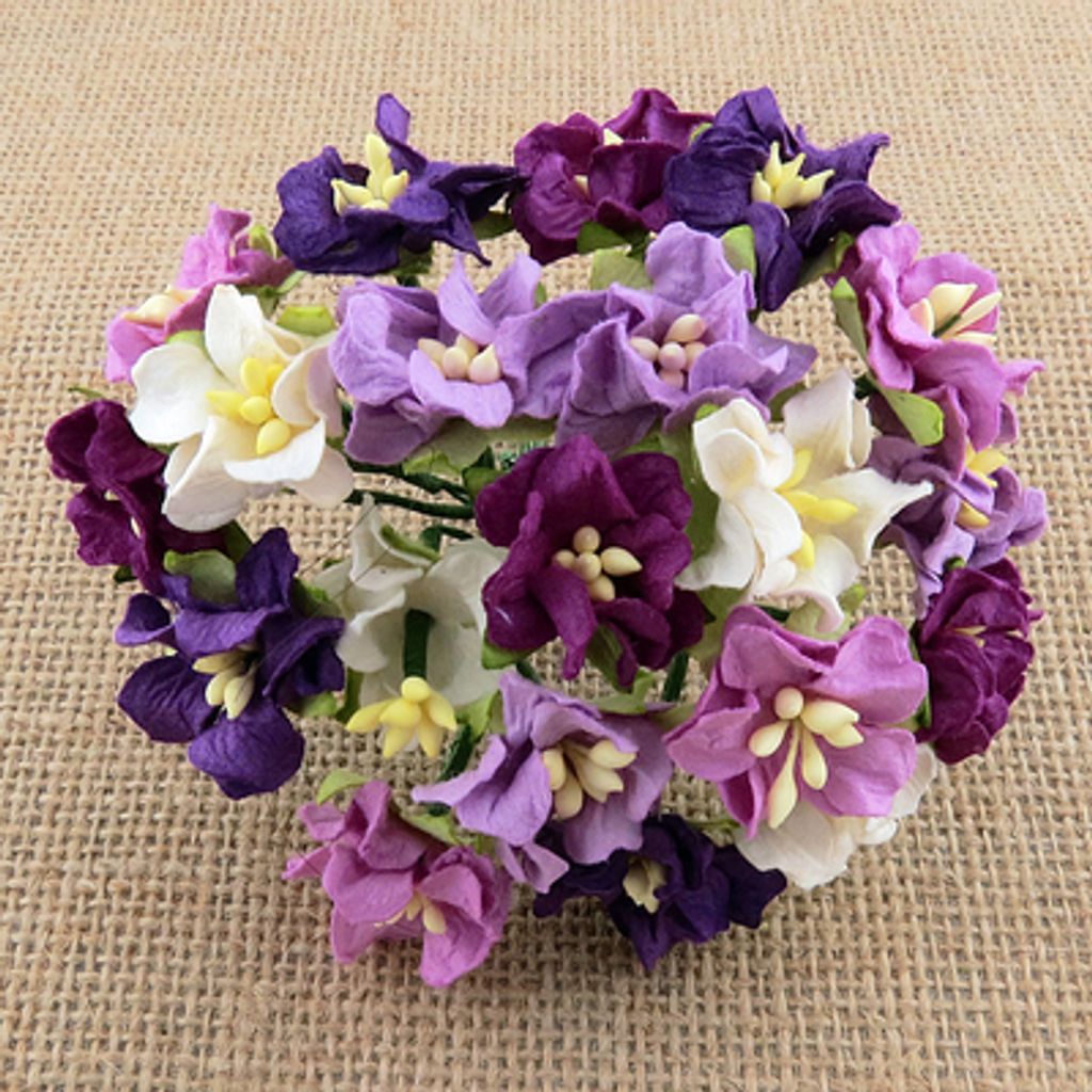 Eloisa Garcia Profile Photo