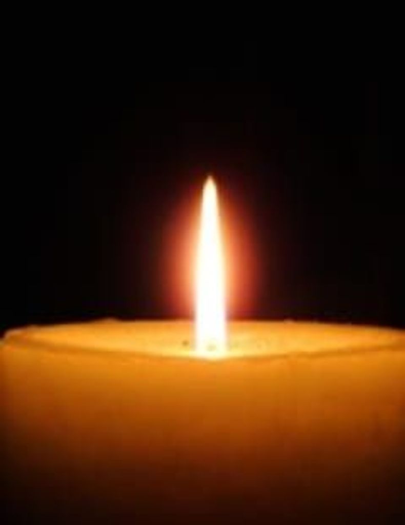 Priscilla Walls Profile Photo