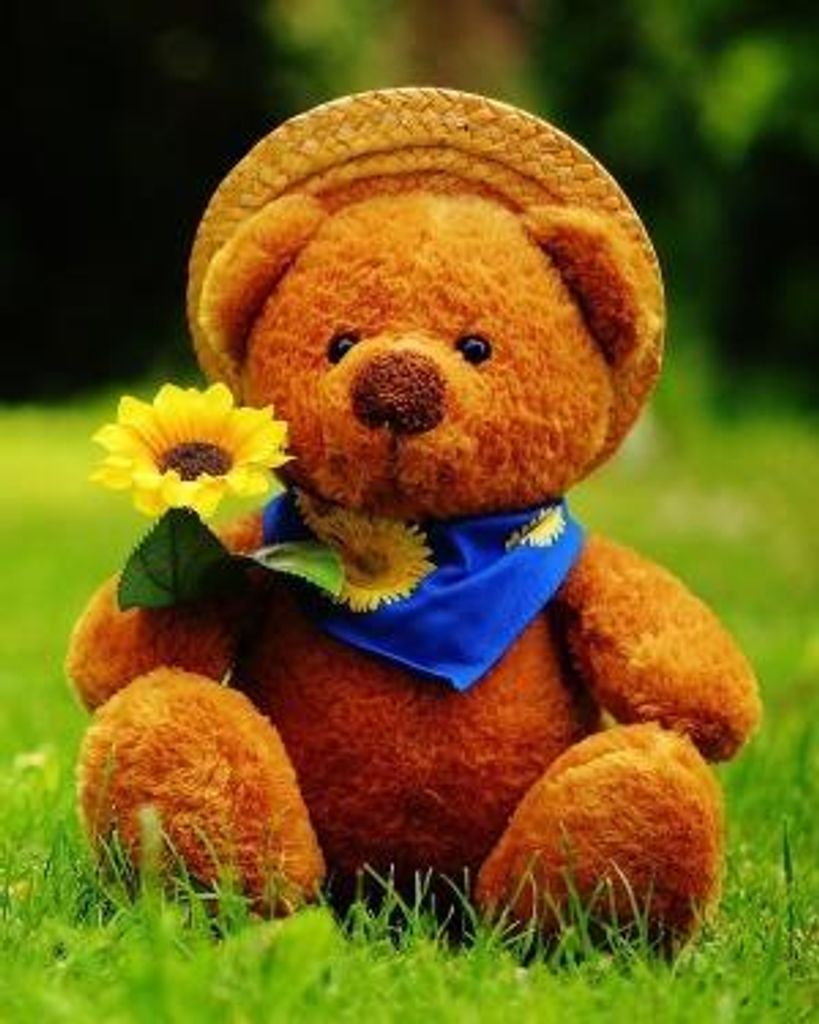 Octavius James Carroll