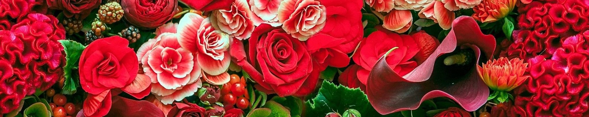 Cover for Sharon Gaye Sego Gubler's Obituary