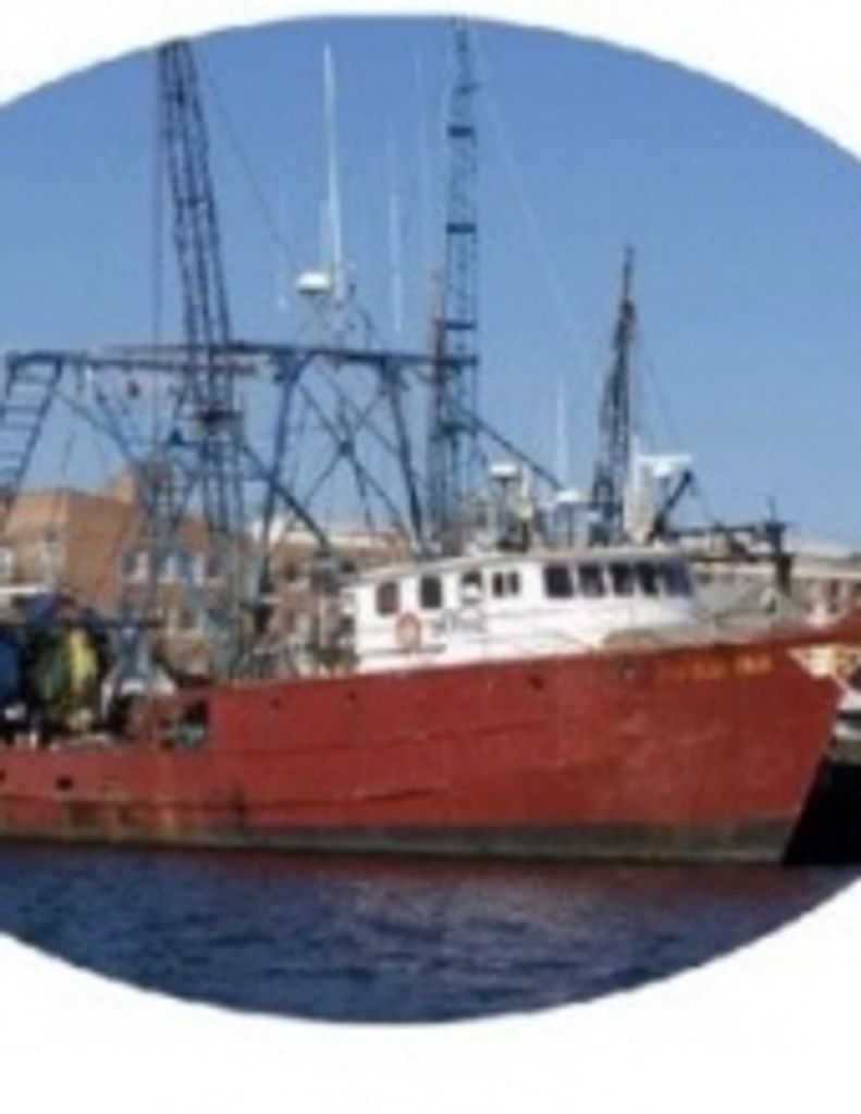 William  H. Knipe, Sr.