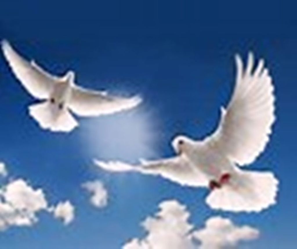 Dr. Aristides Cardona Profile Photo