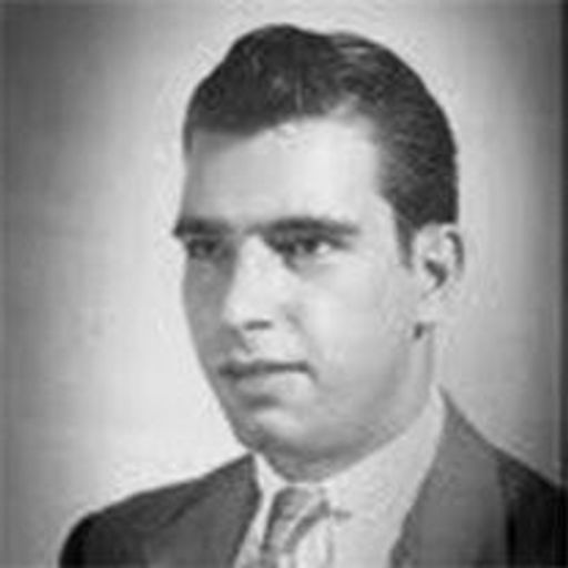 Stephen Bracci, Profile Photo