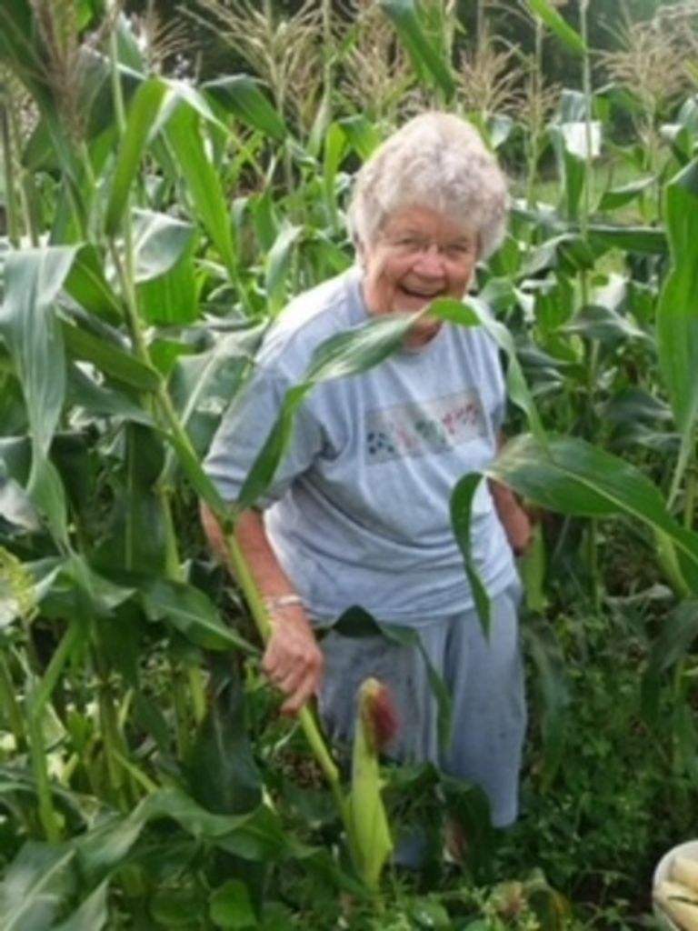 Connie Gay Nester Profile Photo