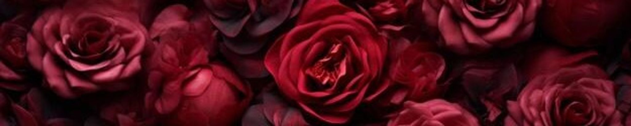 Cover for Rose Marie Taylor's Obituary
