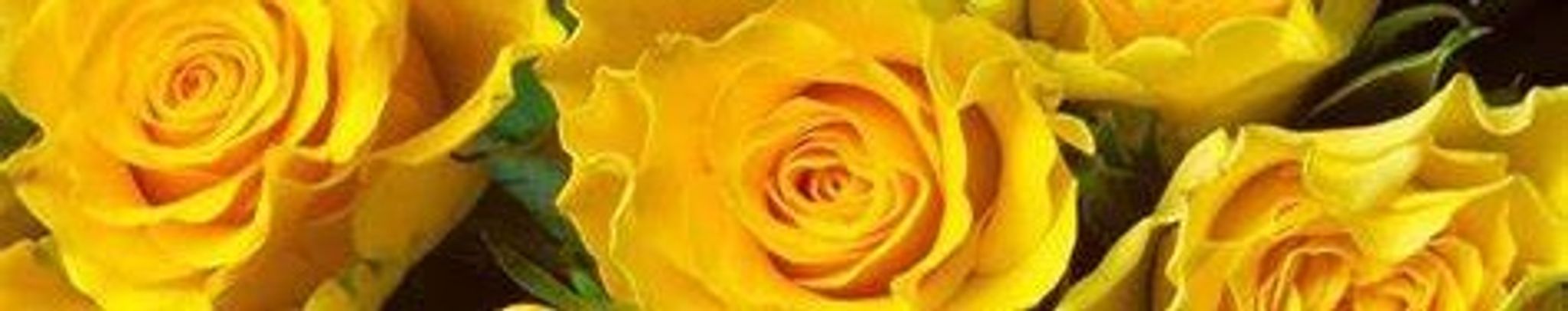 Cover photo for Martha  Nell Parker's Obituary