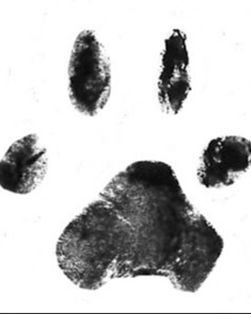 Buffy Stewart Profile Photo