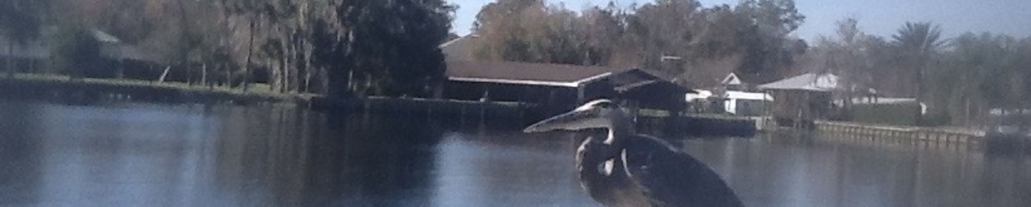 Cover for Kenneth J Brzezinski's Obituary