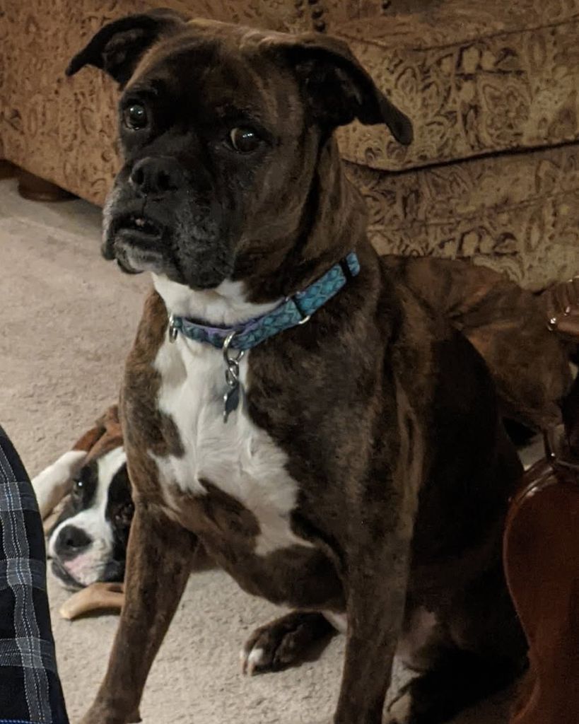 Delilah Kuhn Profile Photo