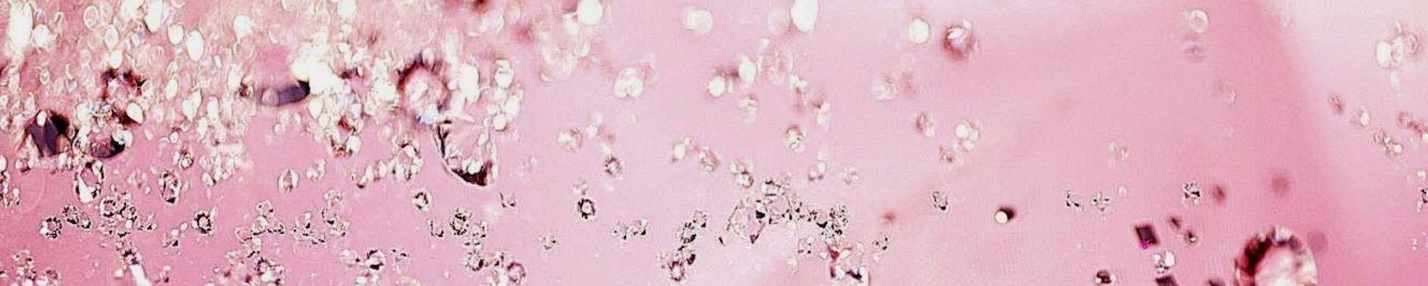 Cover for Ella Mae Gaskin Klein's Obituary