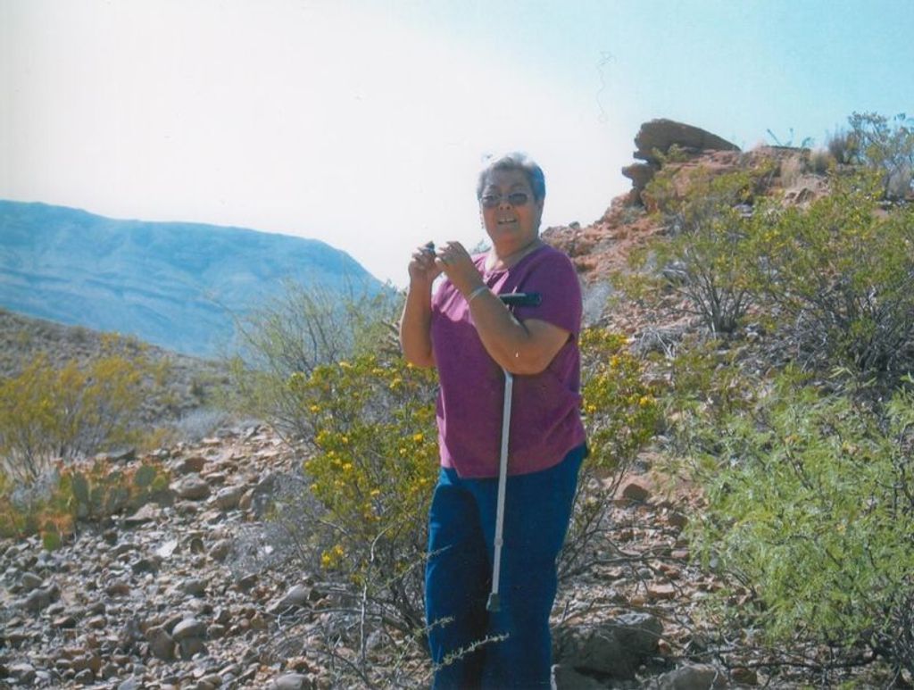Viola Lopez Alvarado