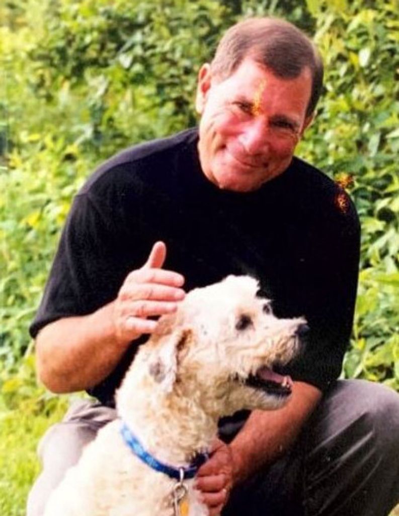 David Tayman, Dvm