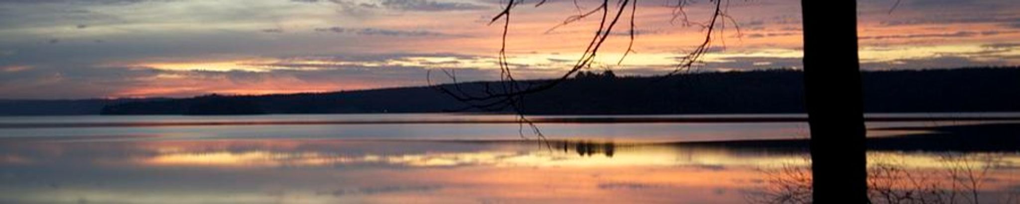 Cover photo for Dorothy Elsie McParland's Obituary