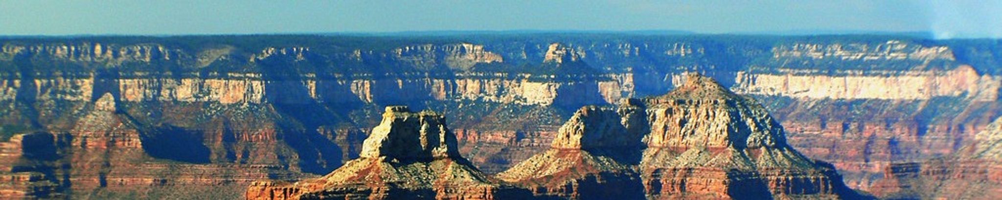 Cover for Edward Caldwell Smith's Obituary