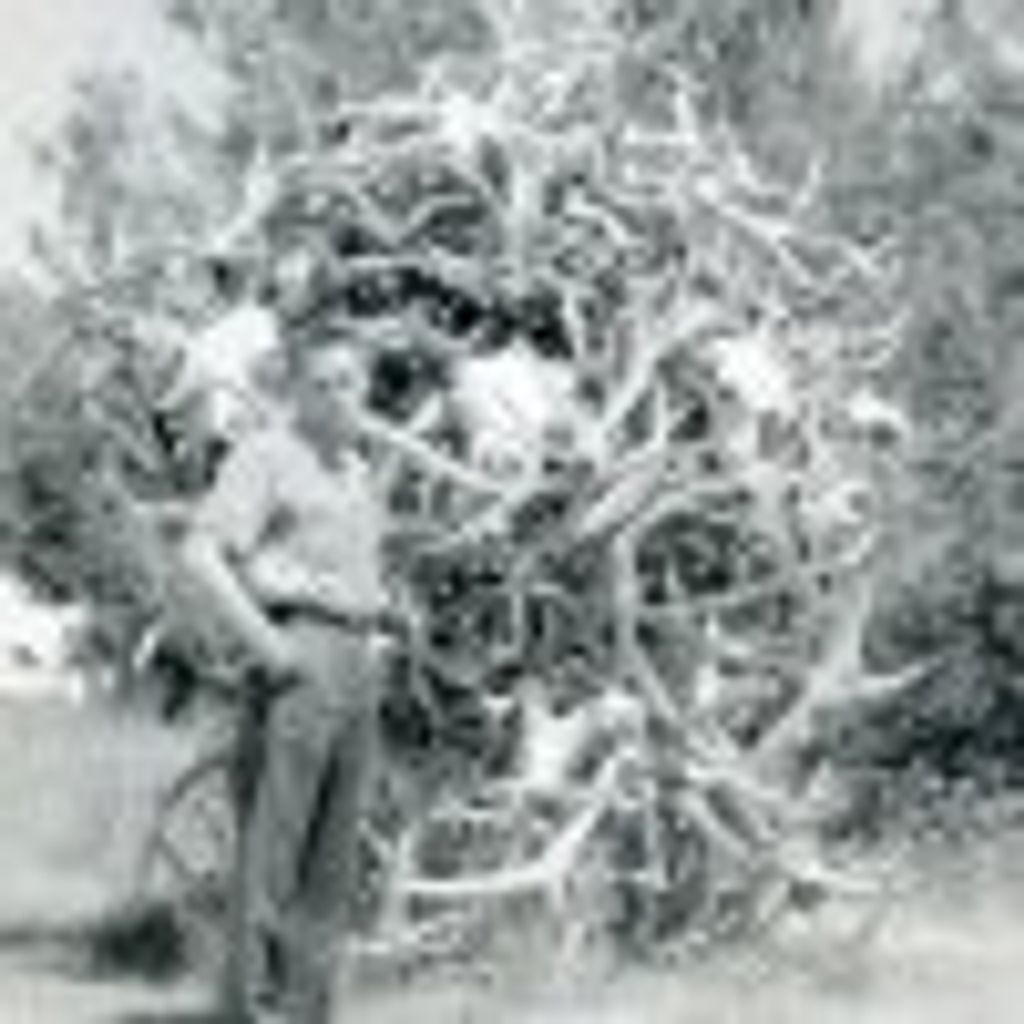 David F Newbigging Profile Photo