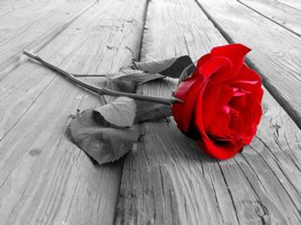 Florence C. Mcelhinny