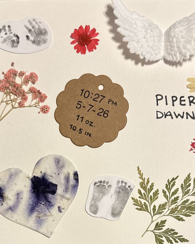 Piper Dawn Ebel Profile Photo