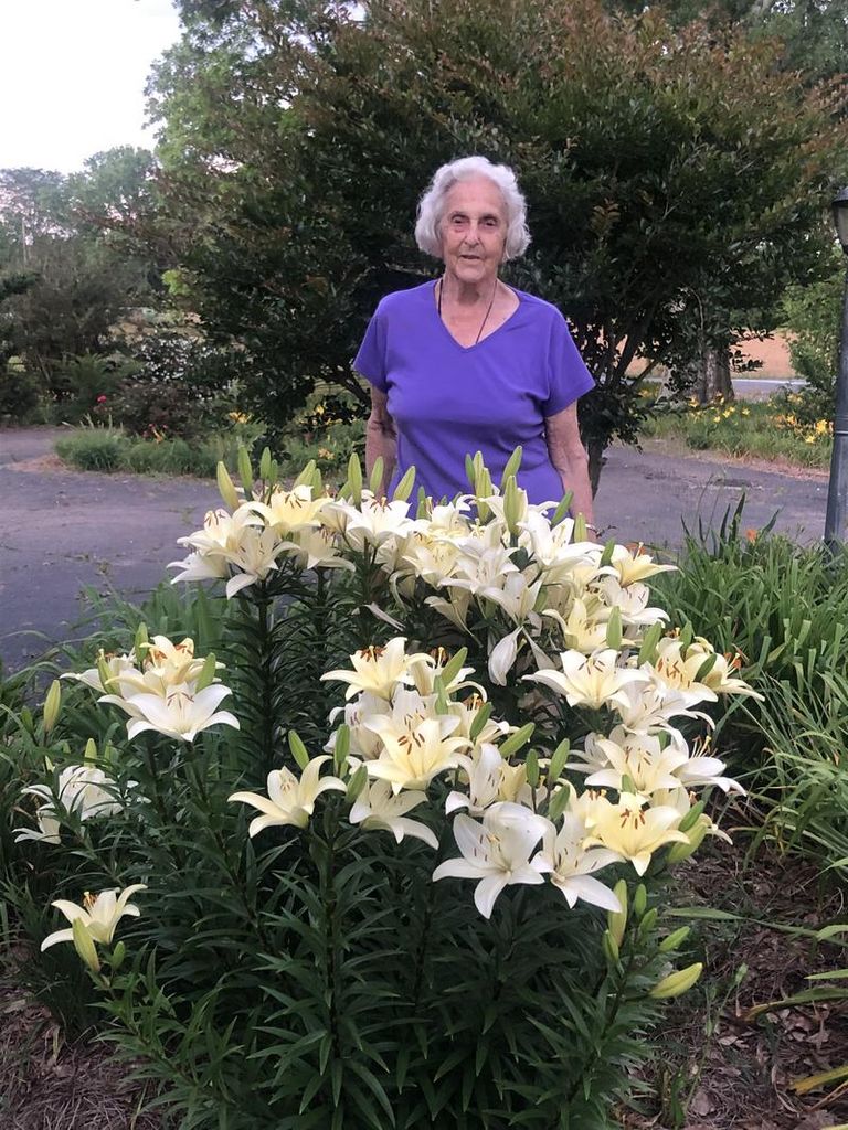 Dixie Polk Duckworth Profile Photo