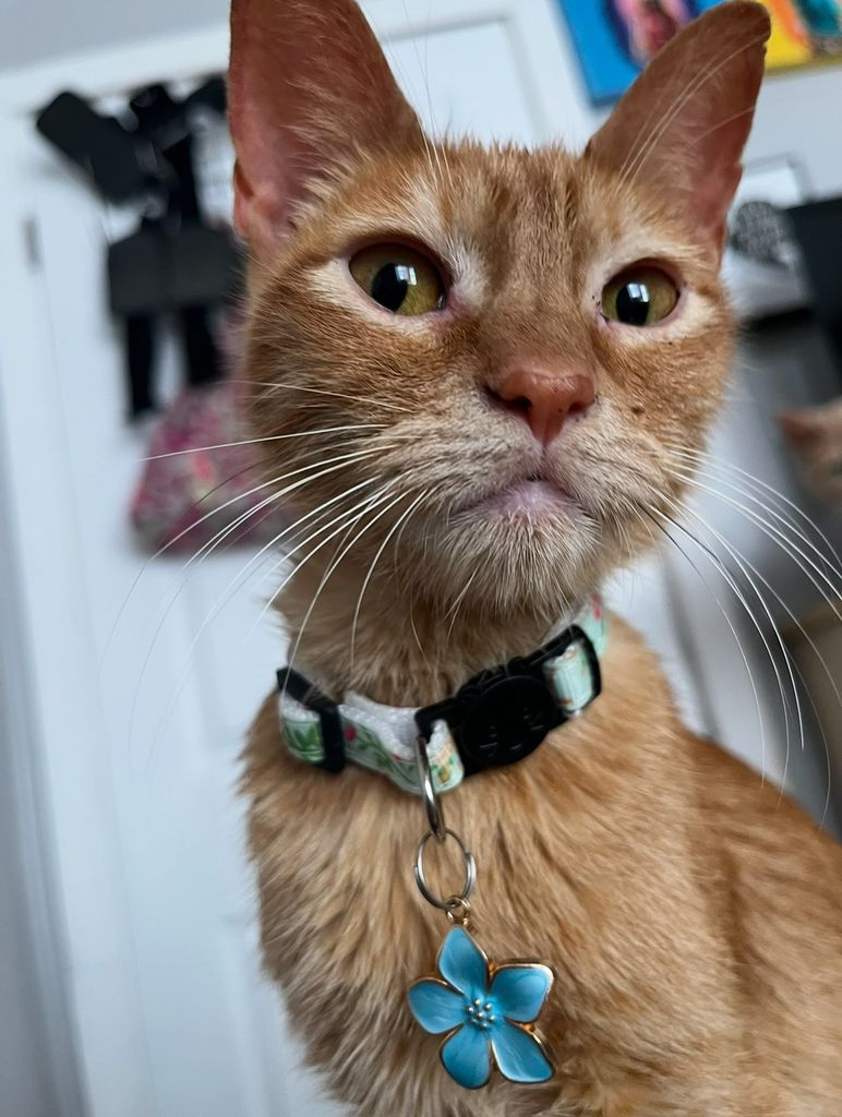 Squishy Profile Photo