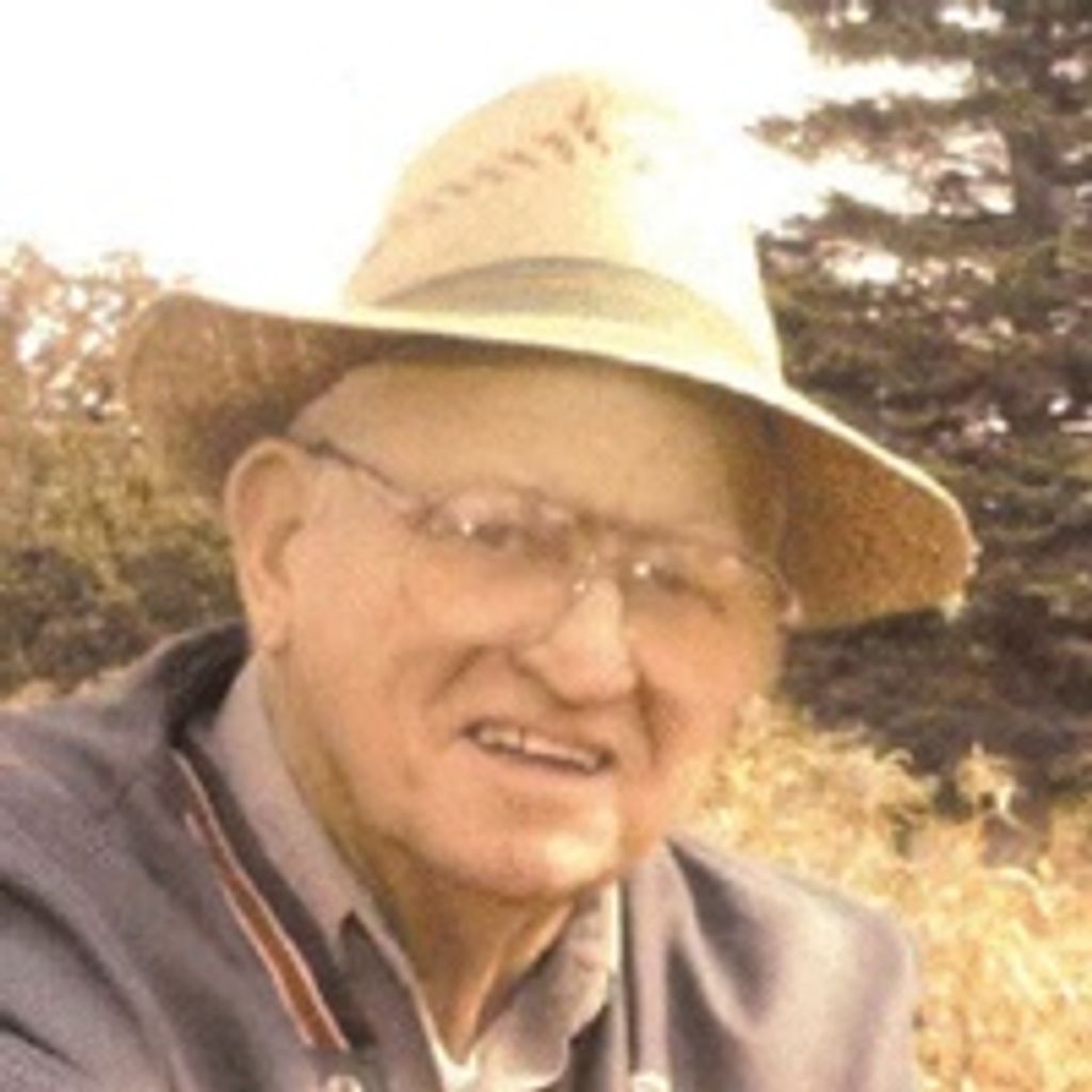 Norman J Colsen