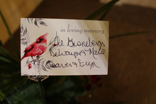Liela Fridgen photo gallery thumbnail 331 of 337
