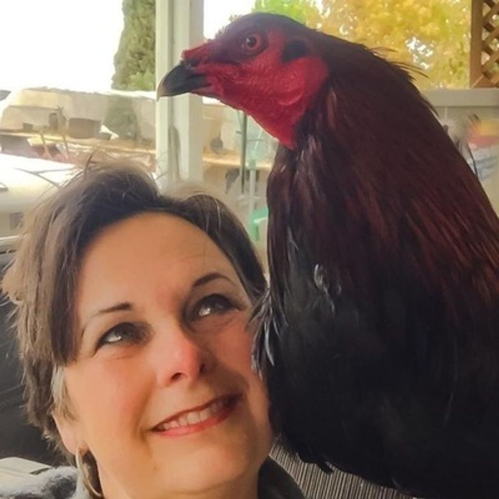 Lynn Gonzalez Profile Photo