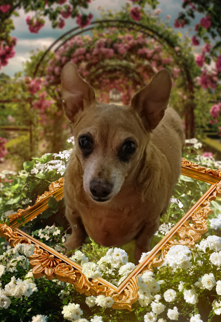 Buddy Profile Photo