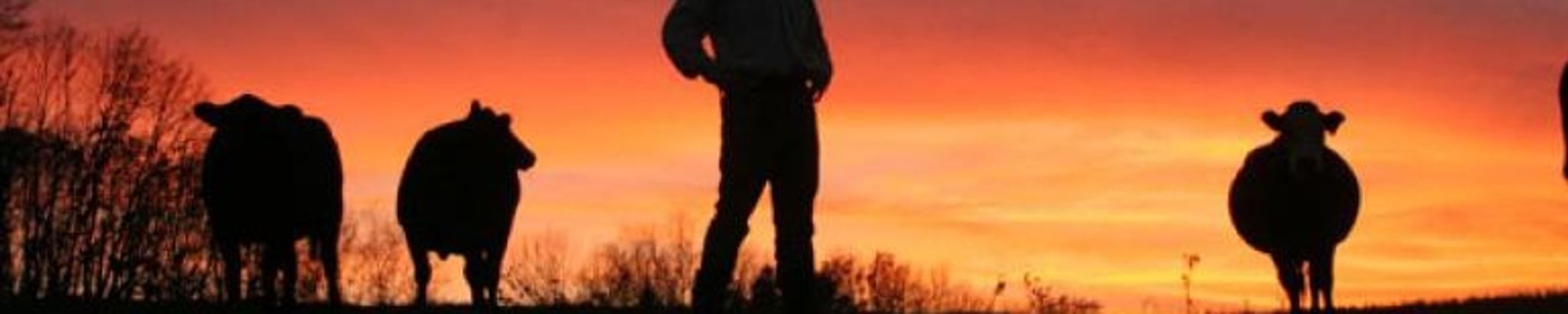 Cover photo for Donald Eugene Nolan's Obituary