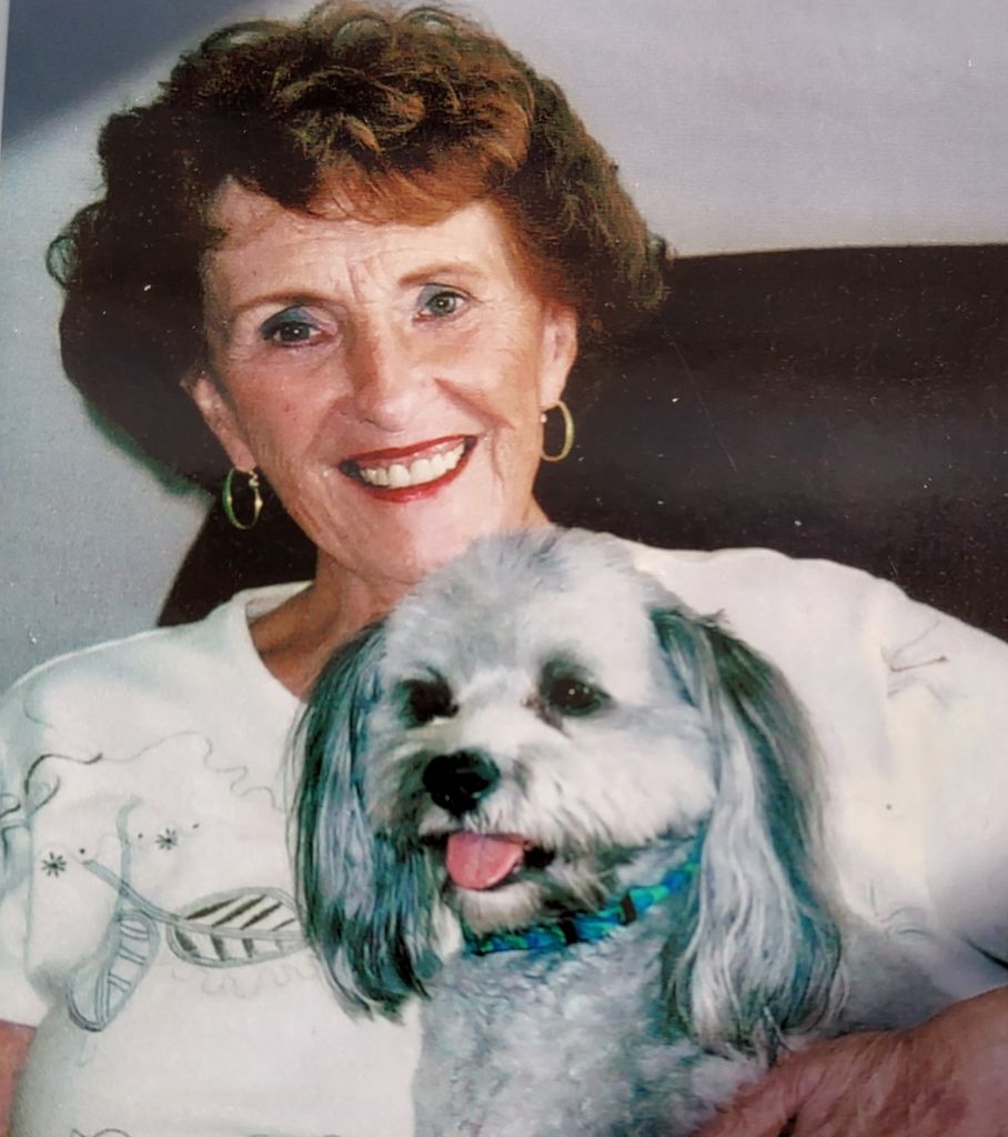Paula A Reilly