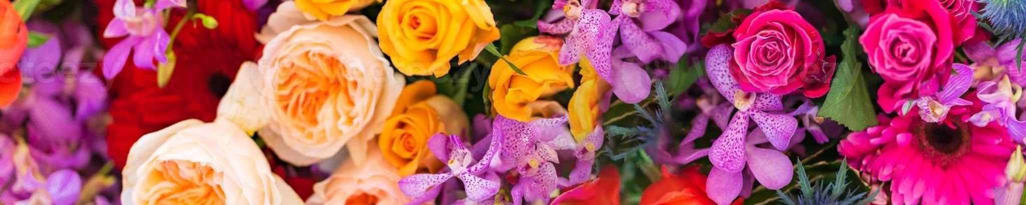 Cover photo for Madison Marie Rodriguez's Obituary