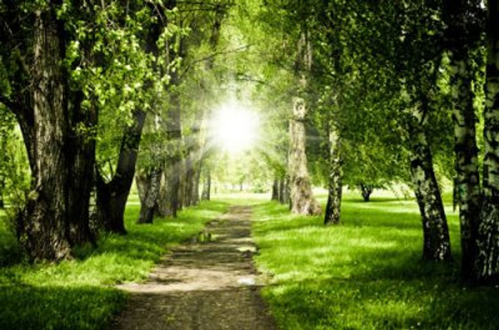 Billy  Glenn Tindall Profile Photo